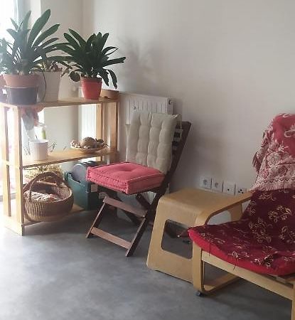 Studio Purpan Apartment Toulouse Ngoại thất bức ảnh